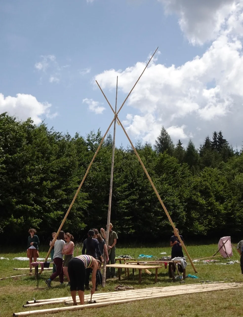 Tall wooden poles being raised against the summer sky